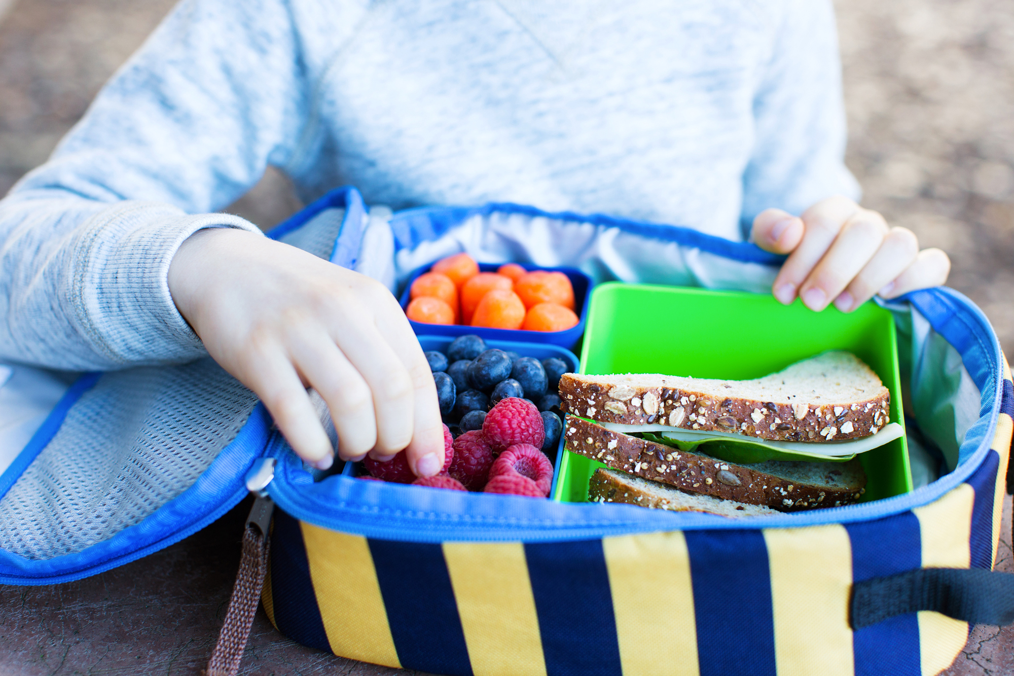 A lunch box filled with a sandwich, fresh berries and carrots.